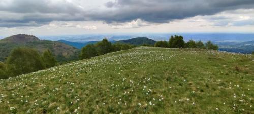 73_24.05.19_Oasi Zegna